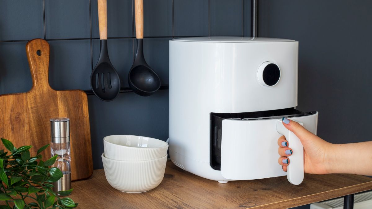 Fungsi Tersembunyi Air Fryer yang Belum Banyak Diketahui